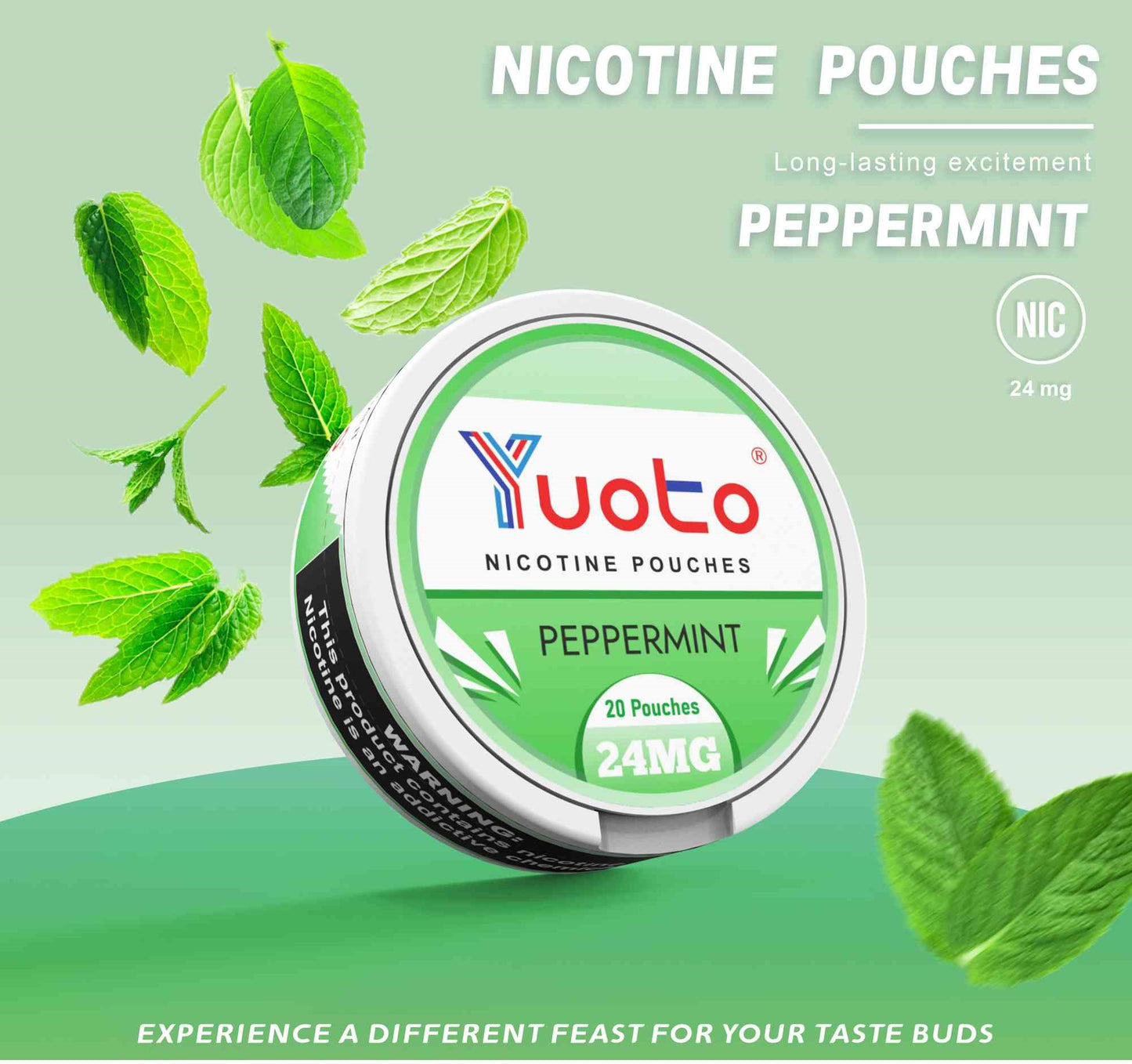 Pepparmint snus- vitt snus med 24mg nikotin. innehåller 20 stycken