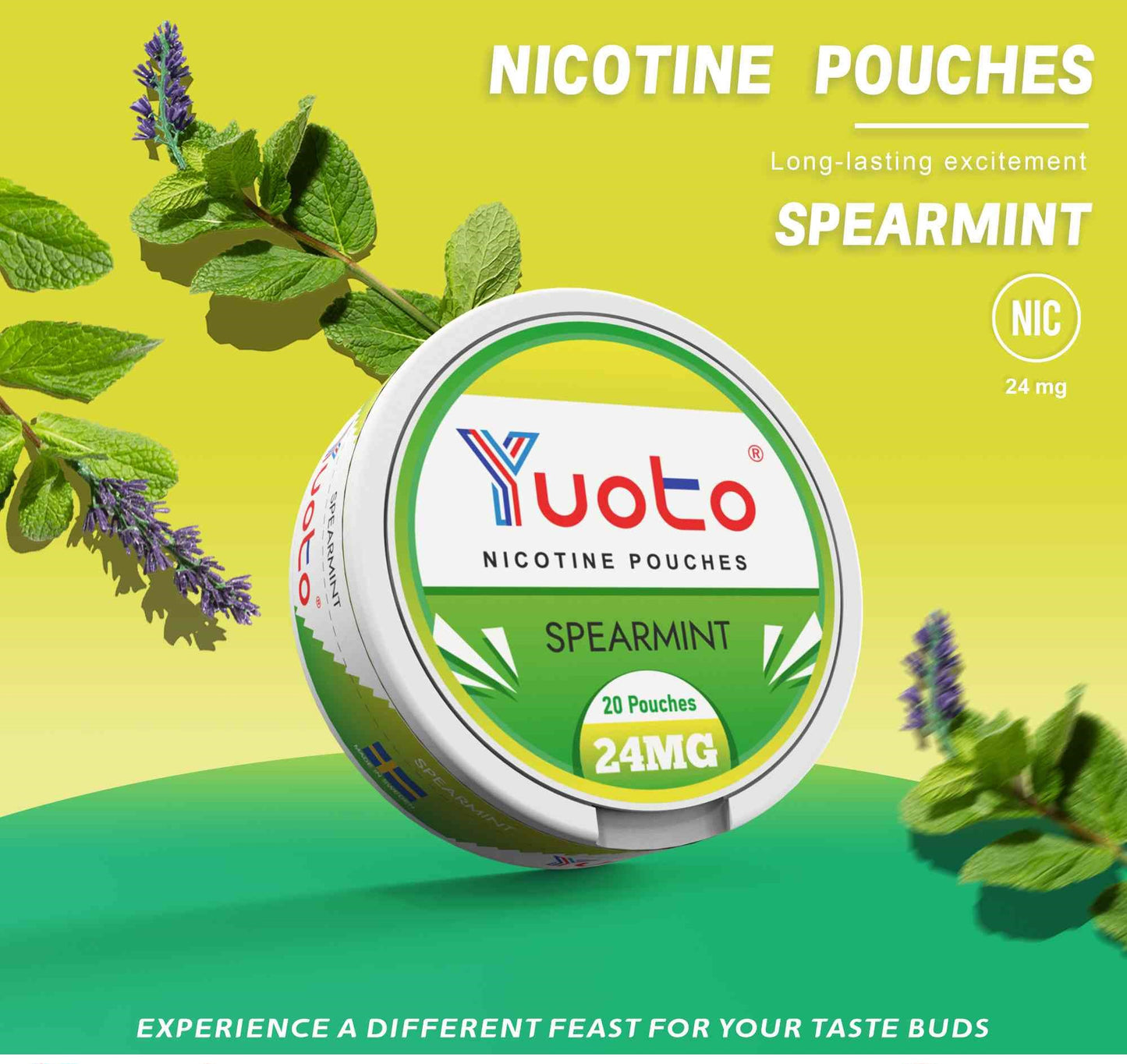 spearmint snus (grön mynta)-Vitt snus som innehåller 24mg nikotin. innehåller 20 stycken i en dosa