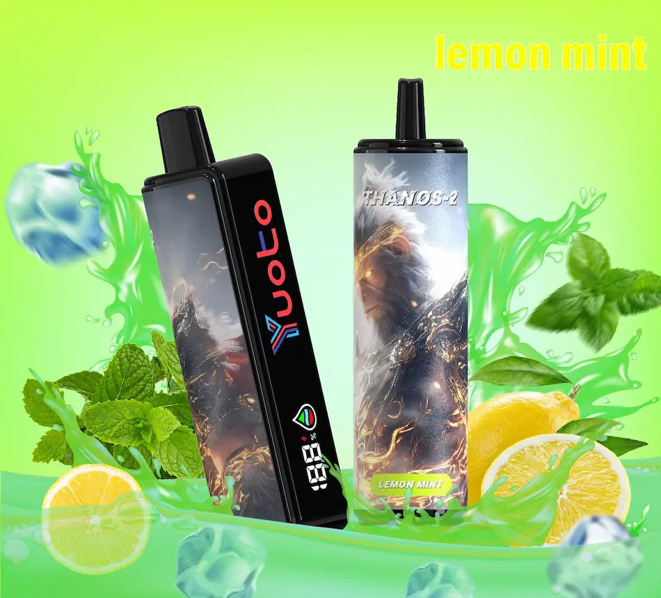 Laddningsbar vape med 10000 bloss och smak av lemon mint.